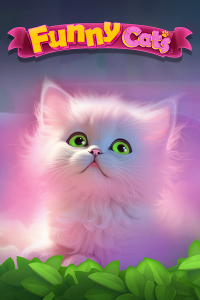 FunnyCats